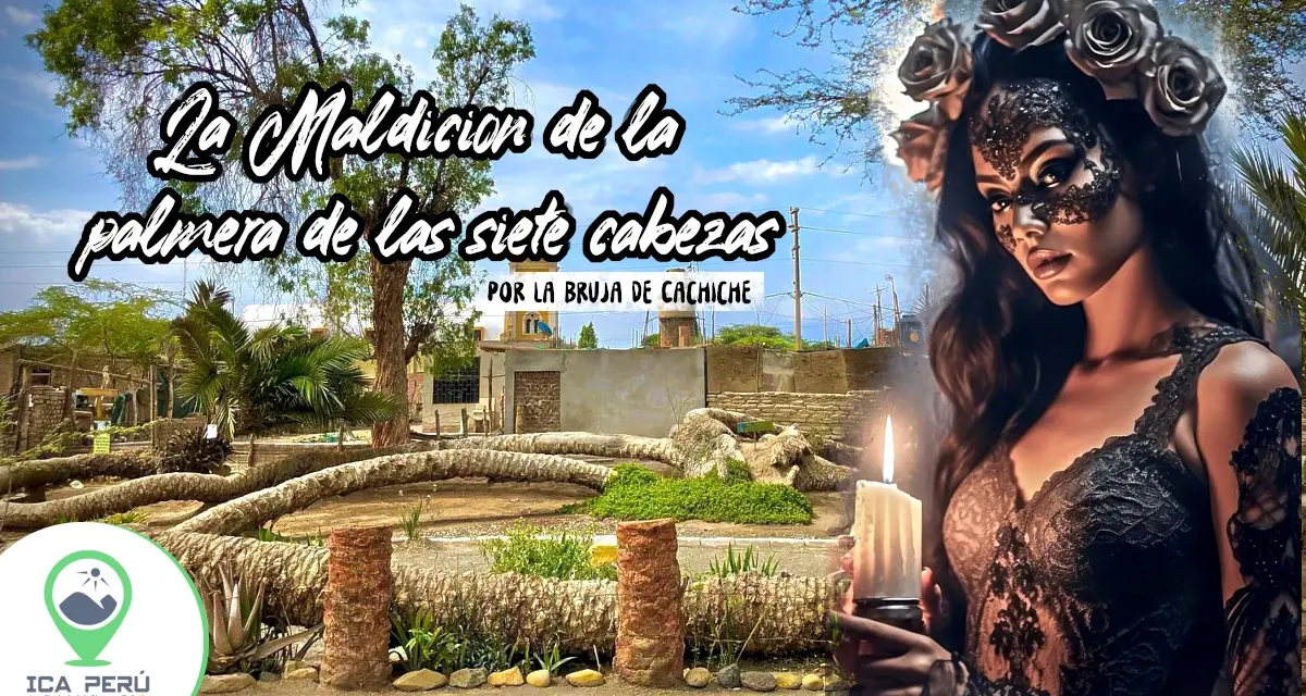 Palmera de las Siete Cabezas