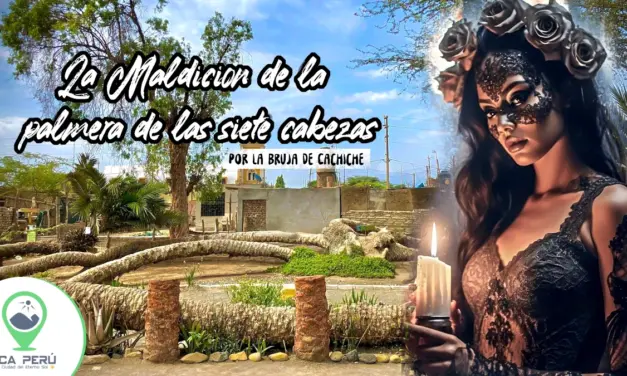 Palmera de las Siete Cabezas