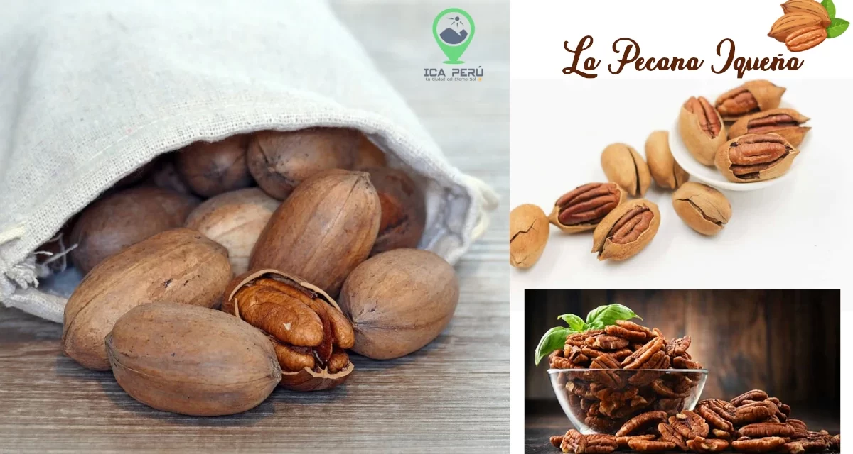 La Pecana Iqueña