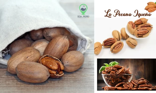 La Pecana Iqueña