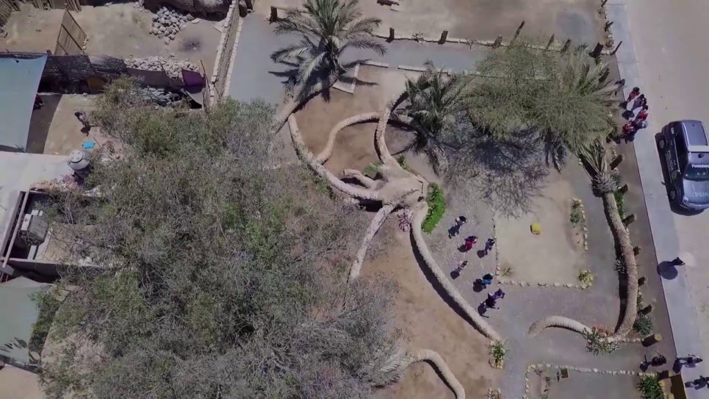 Desde el Aire - Palmera de 7 Cabezas
