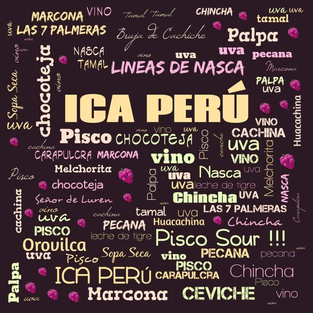 FOROS ICA