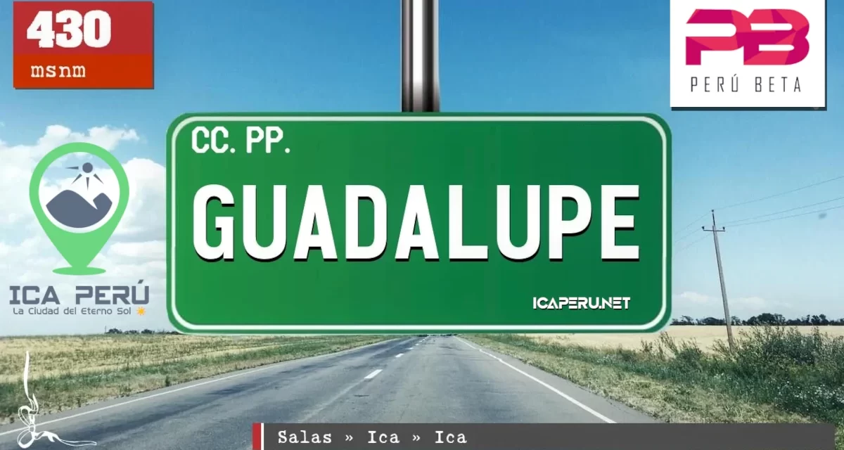DISTRITO DE SALAS GUADALUPE