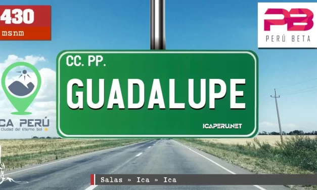 DISTRITO DE SALAS GUADALUPE