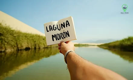 La Laguna de Morón