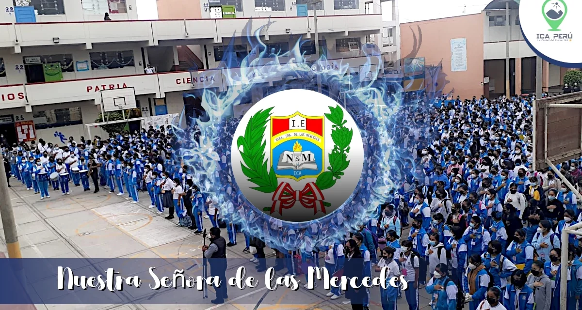 RESEÑA HISTÓRICA NSM